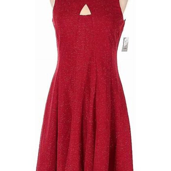 Danny & Nicole Red Sleeveless Lace Red Dress Back Zip Fit & Flare Various NWT - Picture 1 of 6